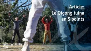 Article Qigong Tuina en 5 points