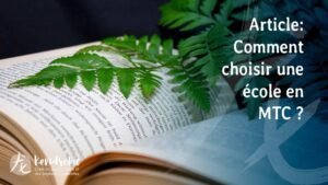 ARticle - Comment choisir une école en Médecine Traditionnelle Chinoise