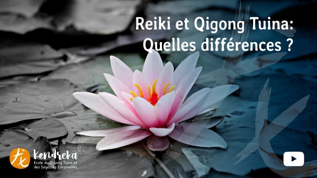 Article Reiki et Qigong Tuina, les différences