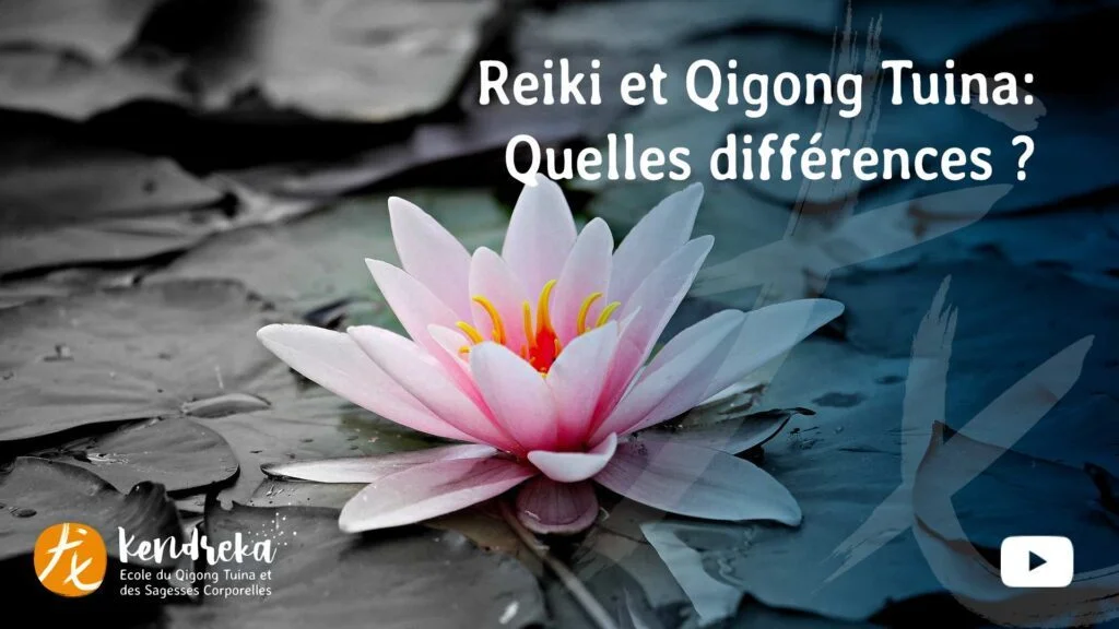 Article Reiki et Qigong Tuina, les différences