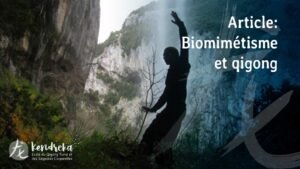 Article biomimétisme en médecine Chinoise