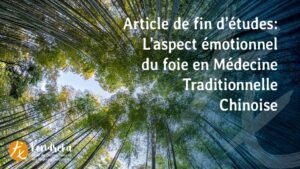 Article Aspect emotionnel Médecine Chinoise Traditionnelle
