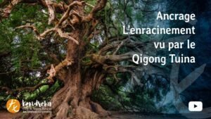 Vidéo - Ancrage: Enracinement vu par le Qigong Tuina