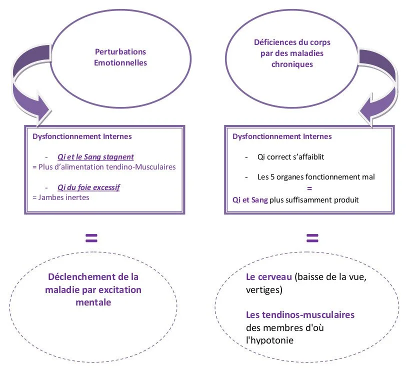 Schema causes internes sclerose medecine chinoise