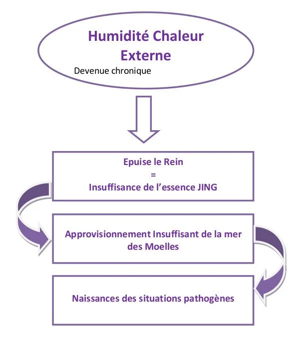 Schema Cause externes sclerose Medecine chinoise