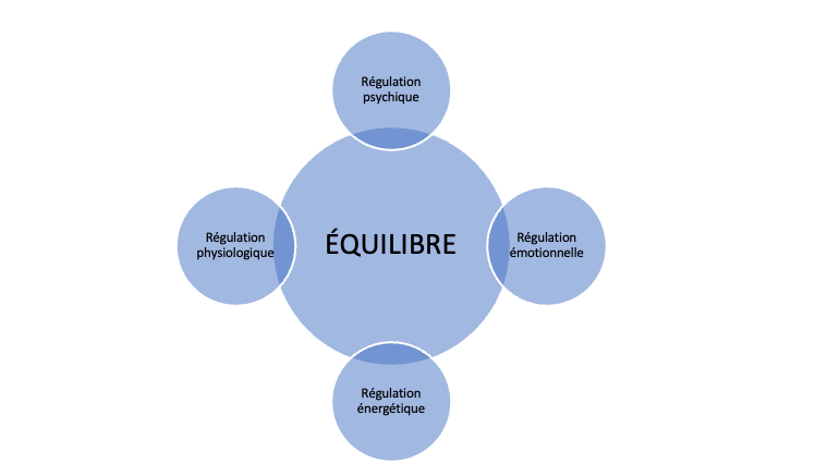 Equilibre holistique et MTC