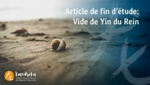 Article vide de yin du rein