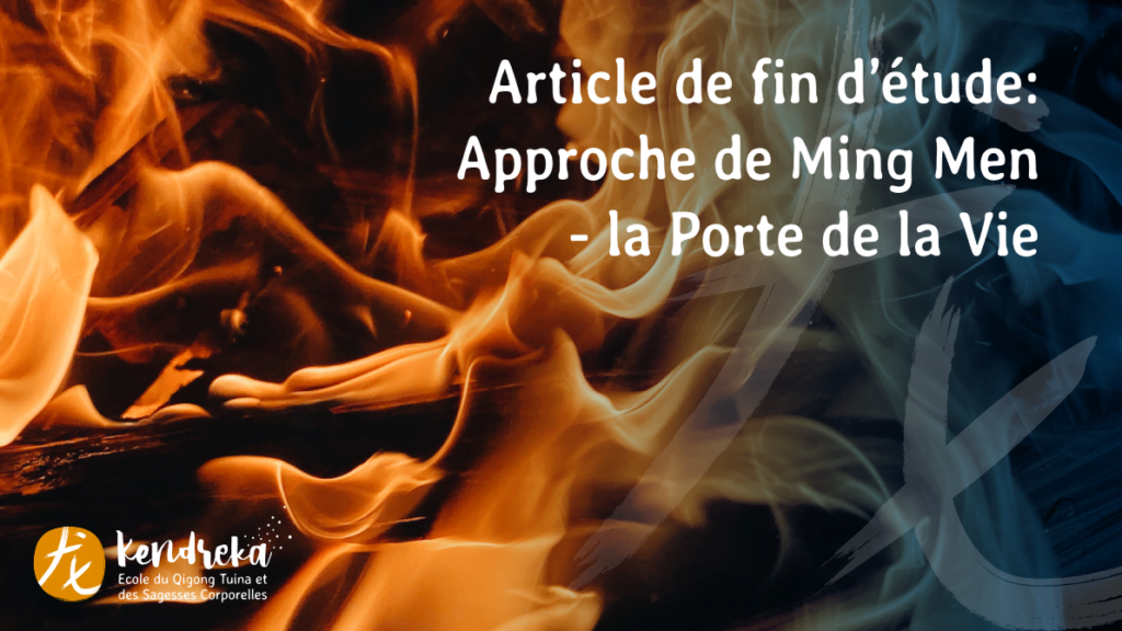 approche ming men - formation acupression