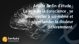 couverture article voie de la conscience