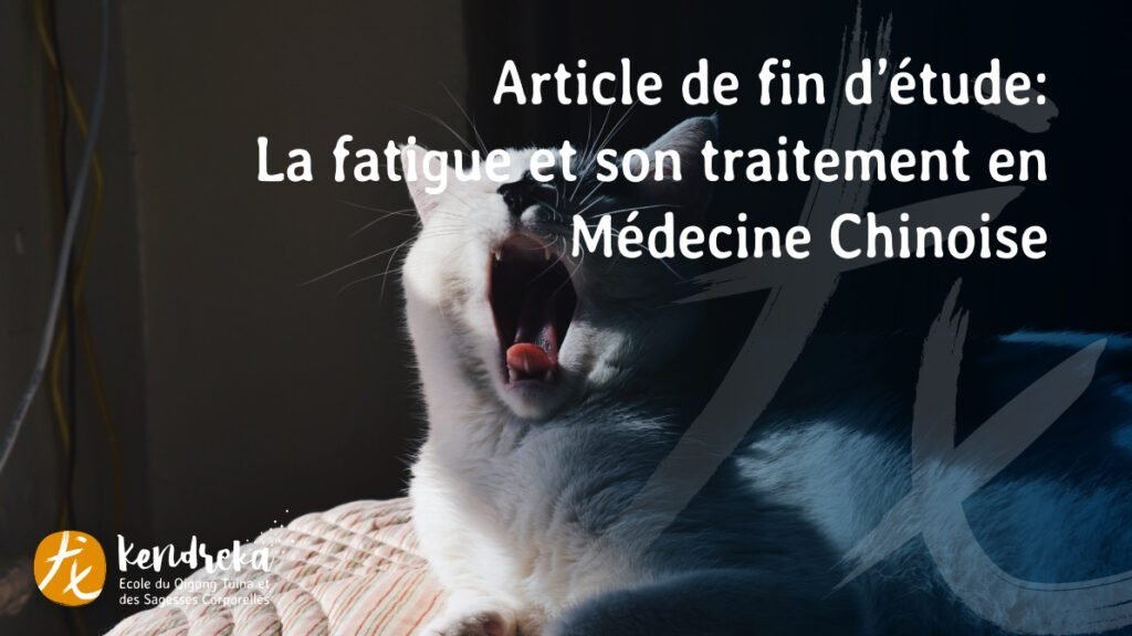 article fatigue médecine chinoise
