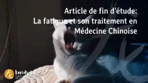 article fatigue médecine chinoise