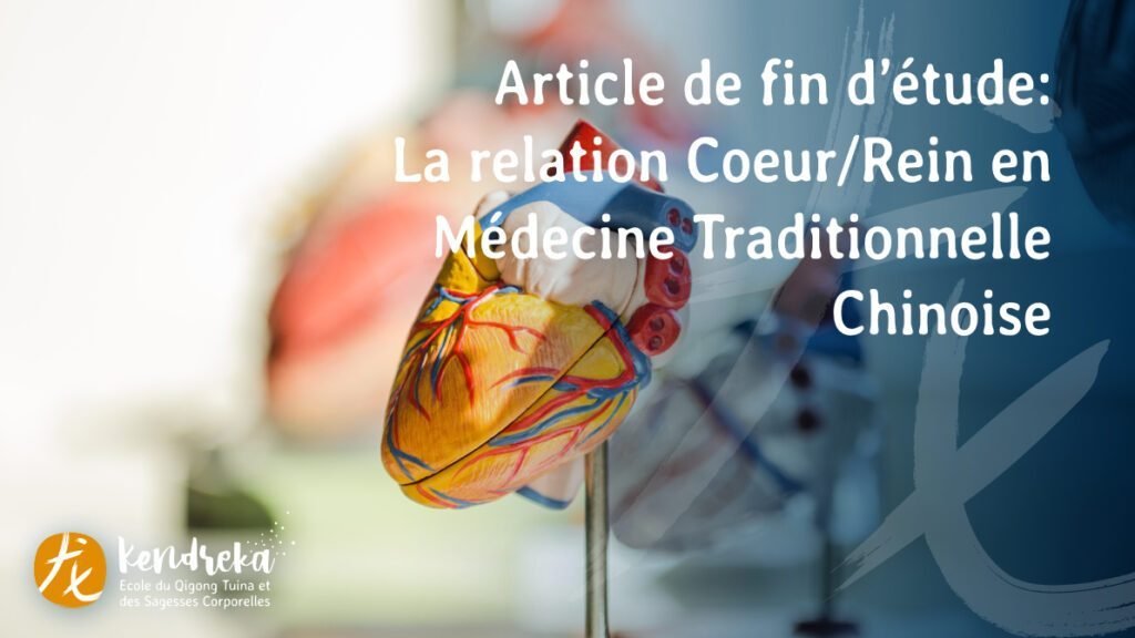 couverture-article-relation-coeur-rein-medecine-chinoise