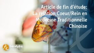 couverture-article-relation-coeur-rein-medecine-chinoise