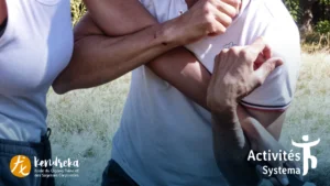 cours de systema