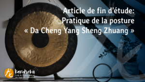 pratique posture « Da Cheng Yang Sheng Zhuang »