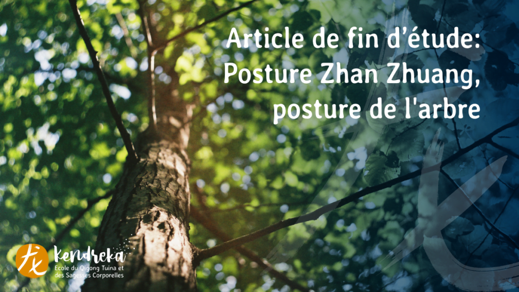 Article zhan zhuang posture de l'arbre qigong