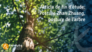 Article zhan zhuang posture de l'arbre qigong