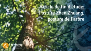 Article zhan zhuang posture de l'arbre qigong