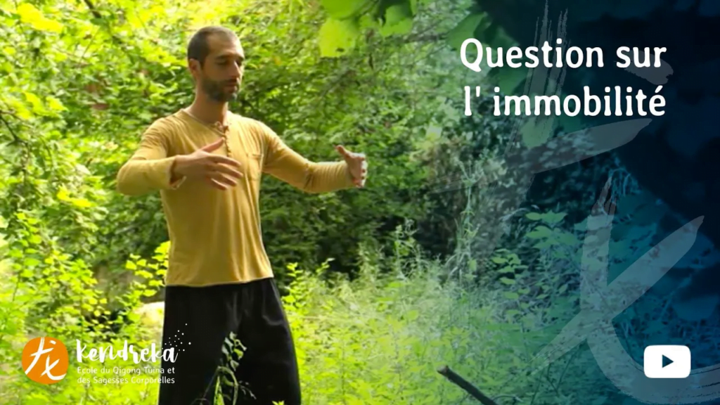 article immobilité qigong tuina