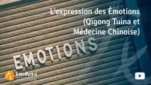 expression des émotions en qigong tuina et mtc