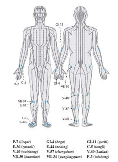 Les 12 points Etoiles Célestes en Médecine Traditionnelle Chinoise selon Ma Dan-Yang et Xu Feng