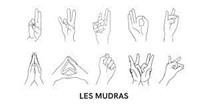 Les Mudras (yoga et Qigong)